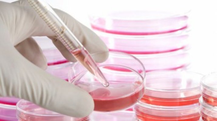Program de stocare gratuită a celulelor stem